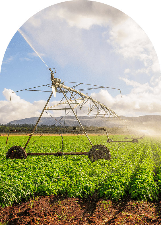 Irrigation system watering green field