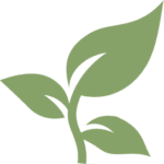 noun-leaf-sm